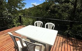 Cedro Azul